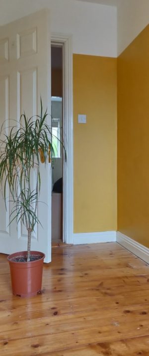 Mustard yellow bedroom wall with white door and skirting. This is part of the L-Shaped layout plan.