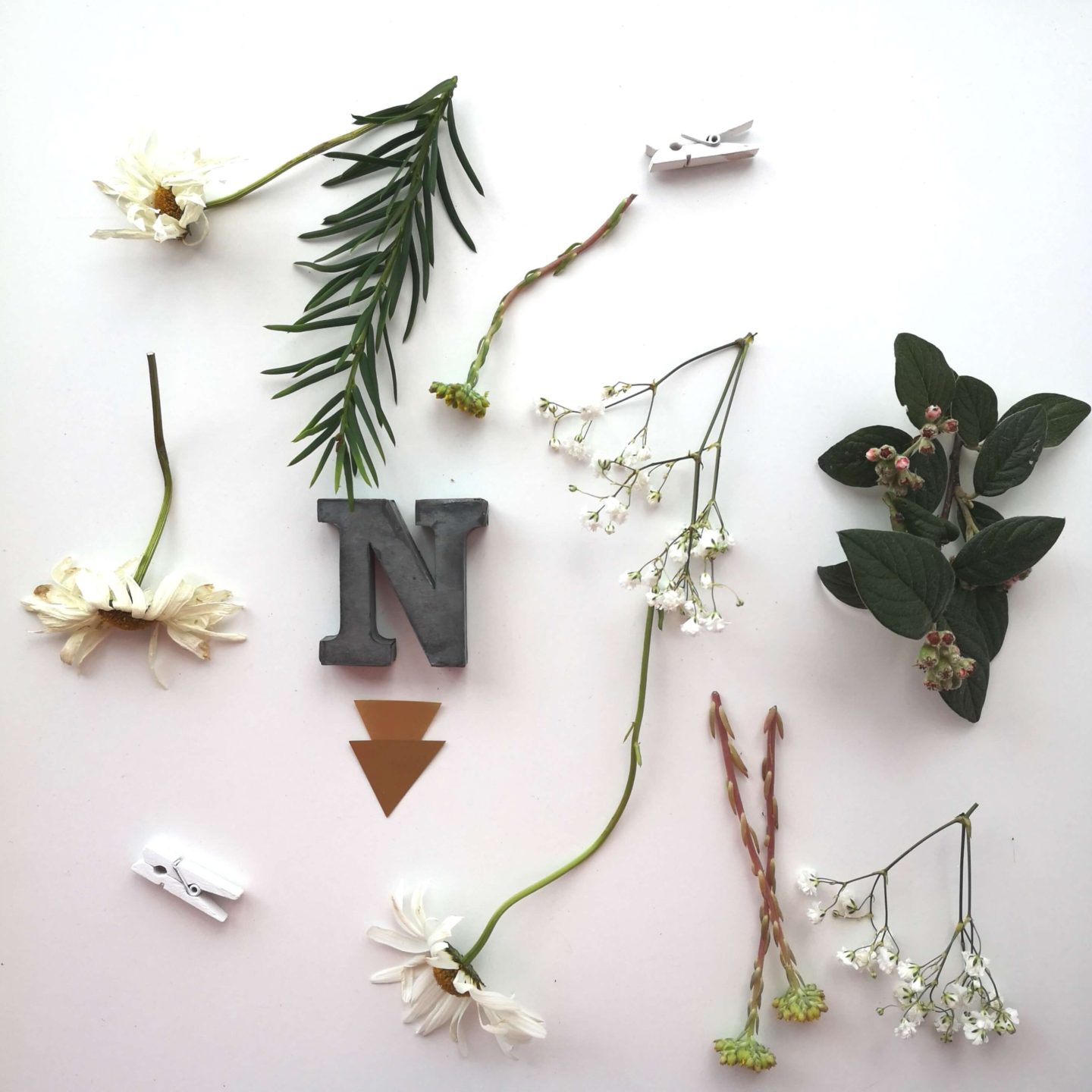 Flatlay of daisies, leaves, white little pegs, gold triangular decals and metal letters.