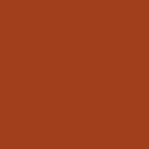 A rusty coloured paint called Heat by The Little Greene Paint Company.