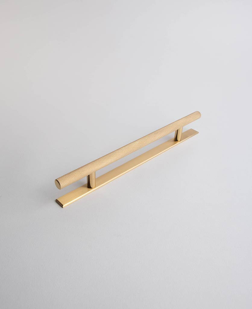 Brass kitchen T-bar handle with a back plate.