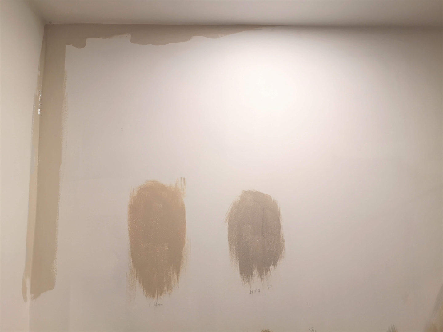 A blank wall with the edge of a corner painted.