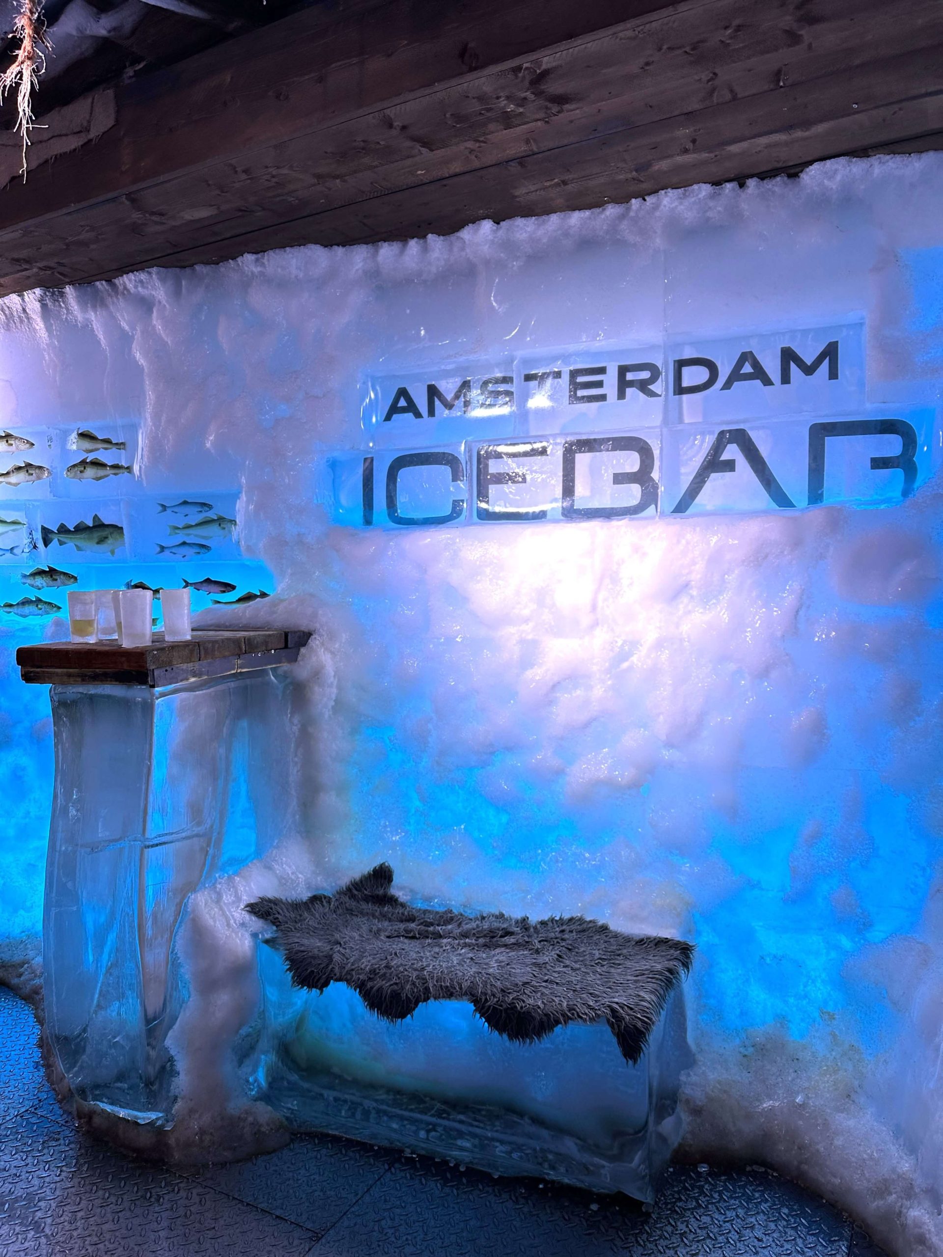 The inside of the Amsterdam Icebar.