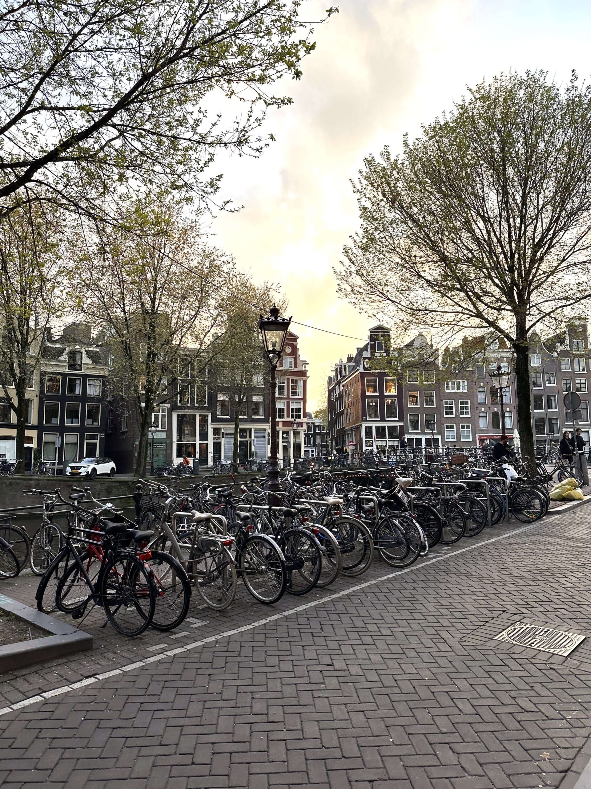 Rows of bikes on a street in Amsterdam.