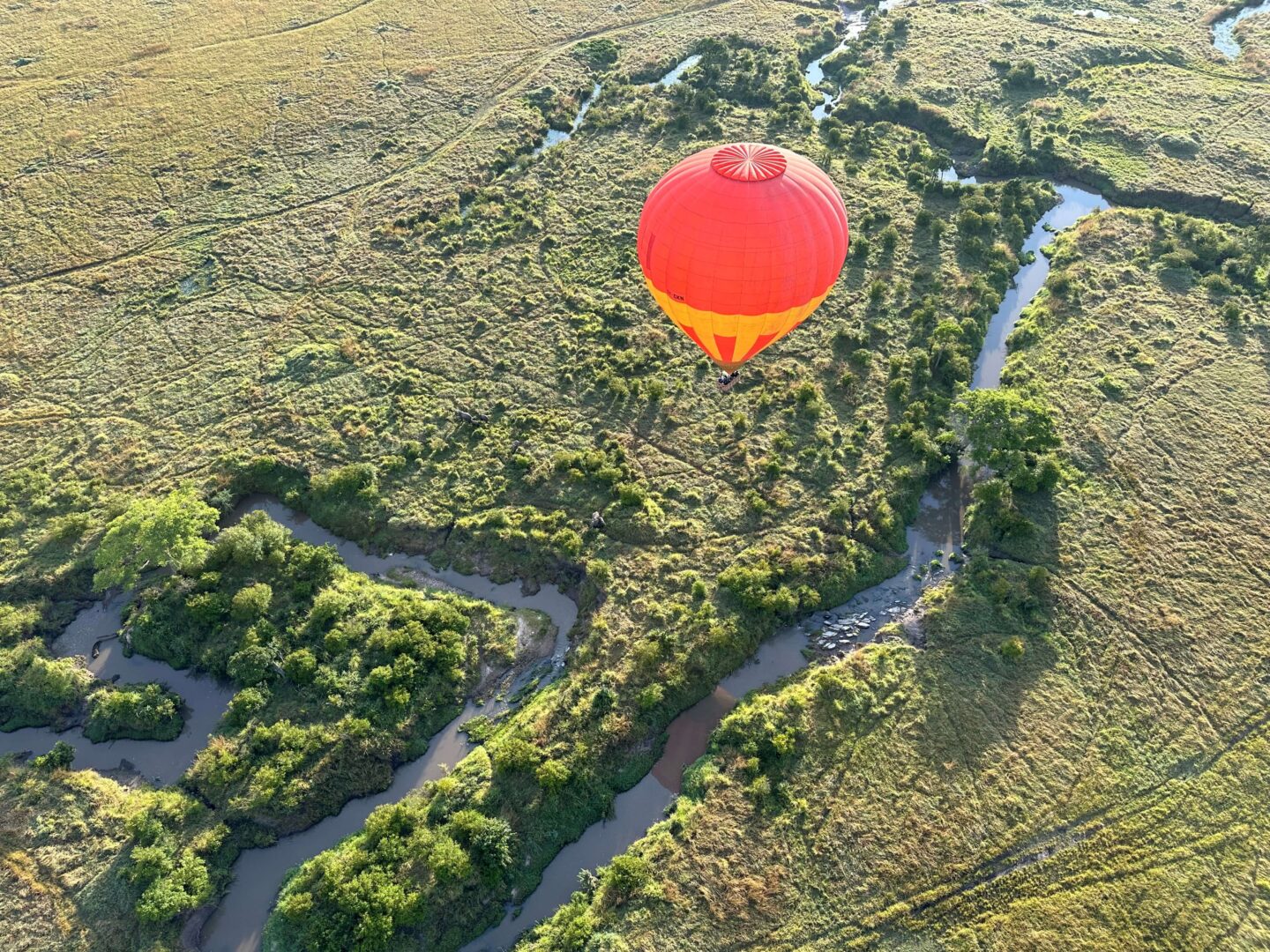 A view from a hot air balloon of a herd of elephants on the ground below. Another red hot air balloon is also seen.