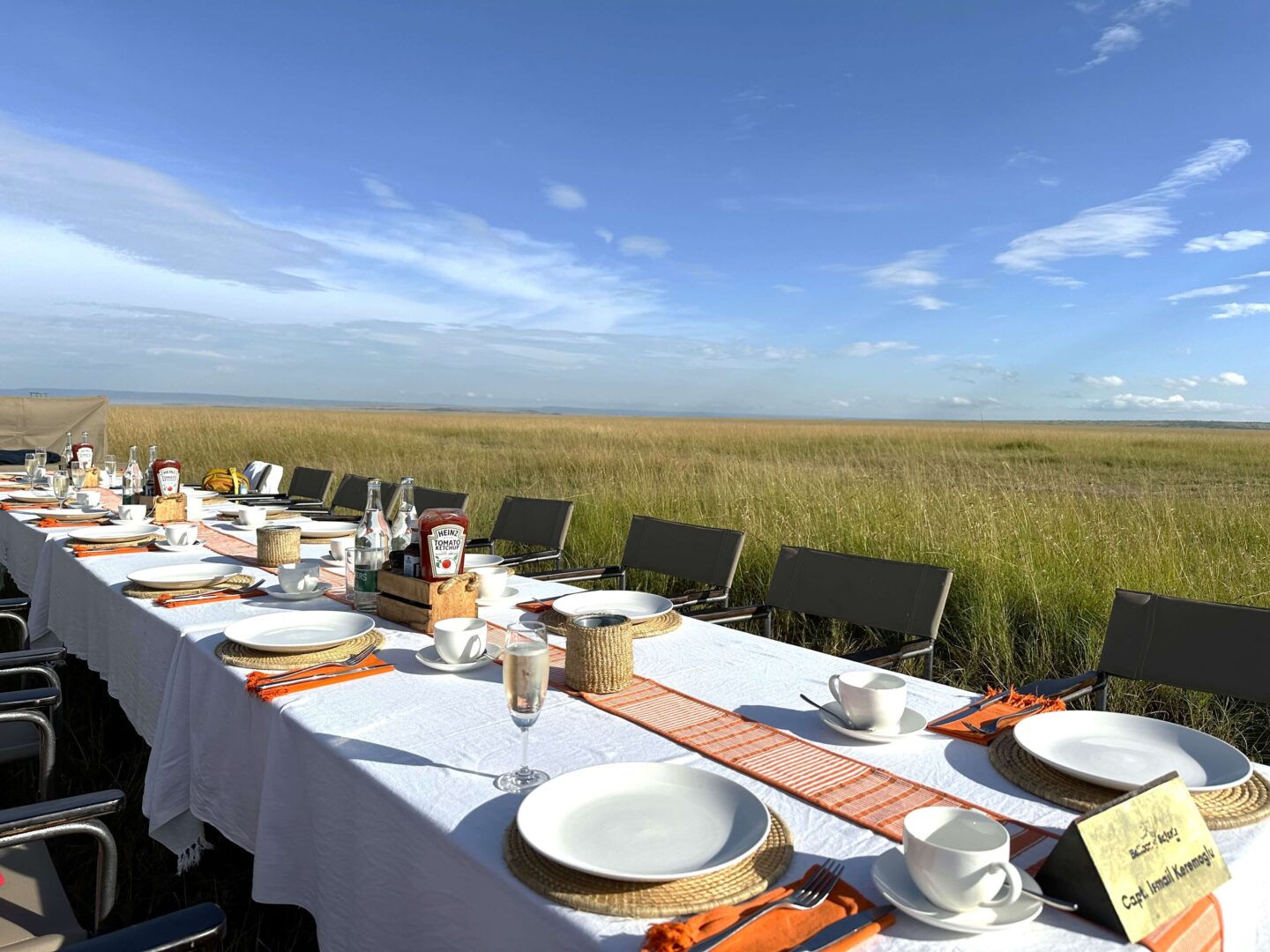 A long table with a white tablecloth and a beautiful cutlery setting, sits in the middle of the Maasai Mara park. 